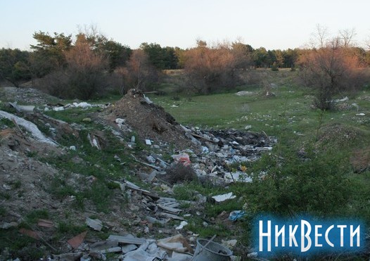 "Матвеевский лес более-менее чистый"